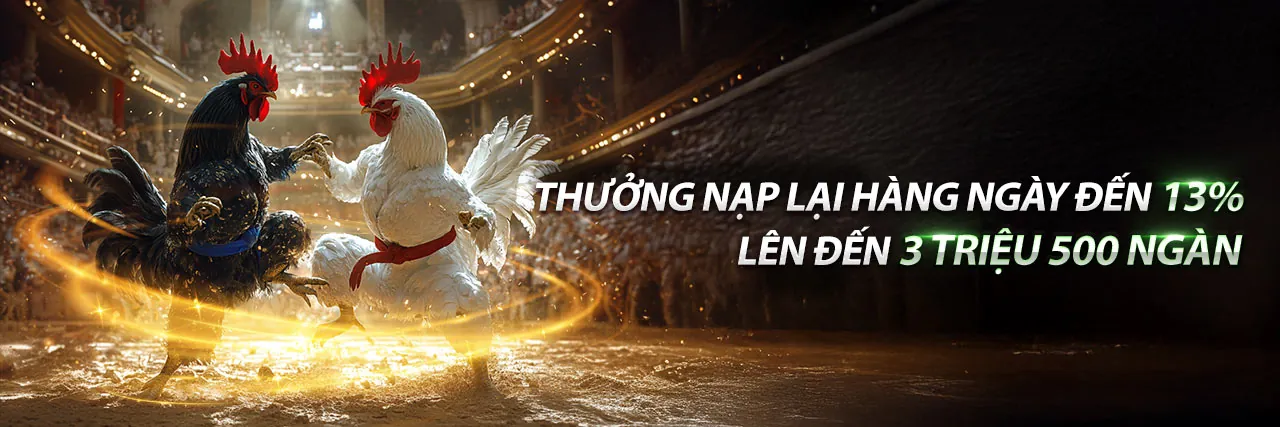 Giao diện ứng dụng 8dayvn nhà cái trên điện thoại