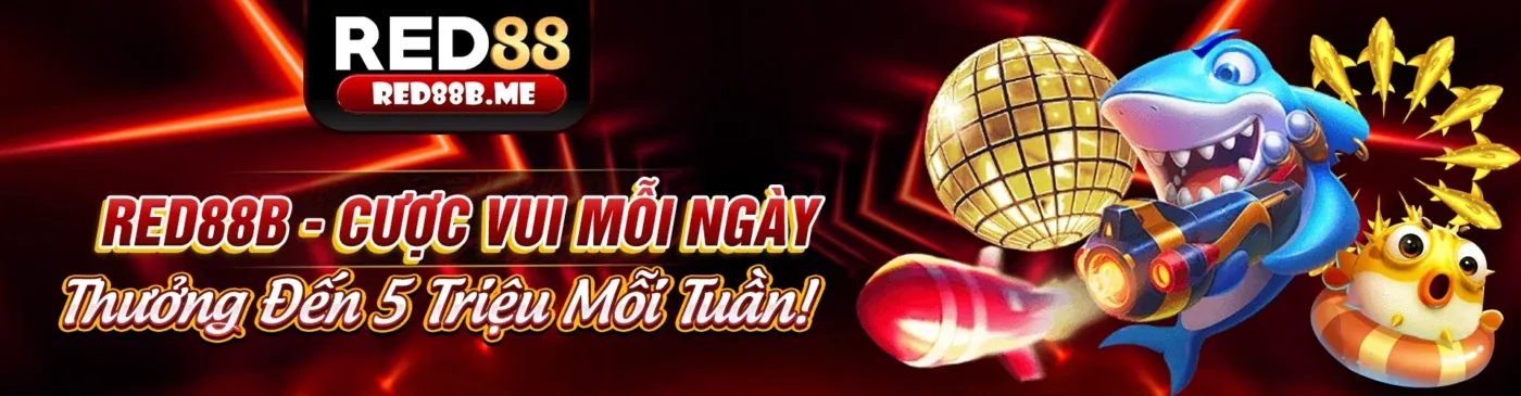 Cái nhìn tổng quan về các dịch vụ của 8dayvn nhà cái
